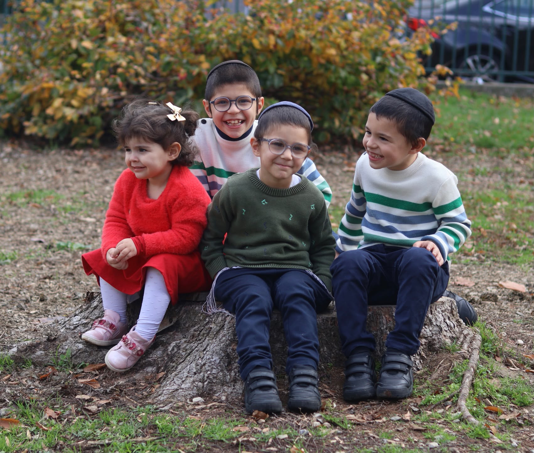 Fratrie assis sur une souche d'arbre